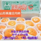 庄内柿Mサイズ商品