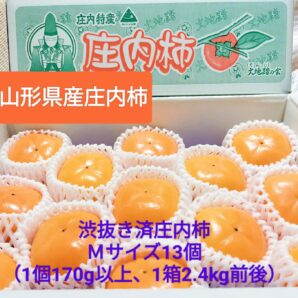 令和５年度完売：予約販売先着限定50箱   庄内柿　渋抜き種なし　Mサイズ13個2㎏以上
