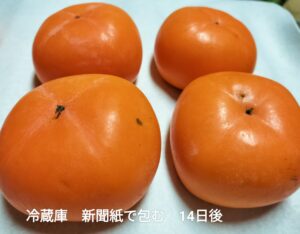 冷蔵庫で新聞紙に包んで2週間保管した柿