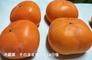 冷蔵庫で2週間そのままの状態で保管した柿