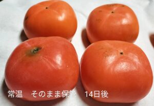 常温で2週間保管した柿