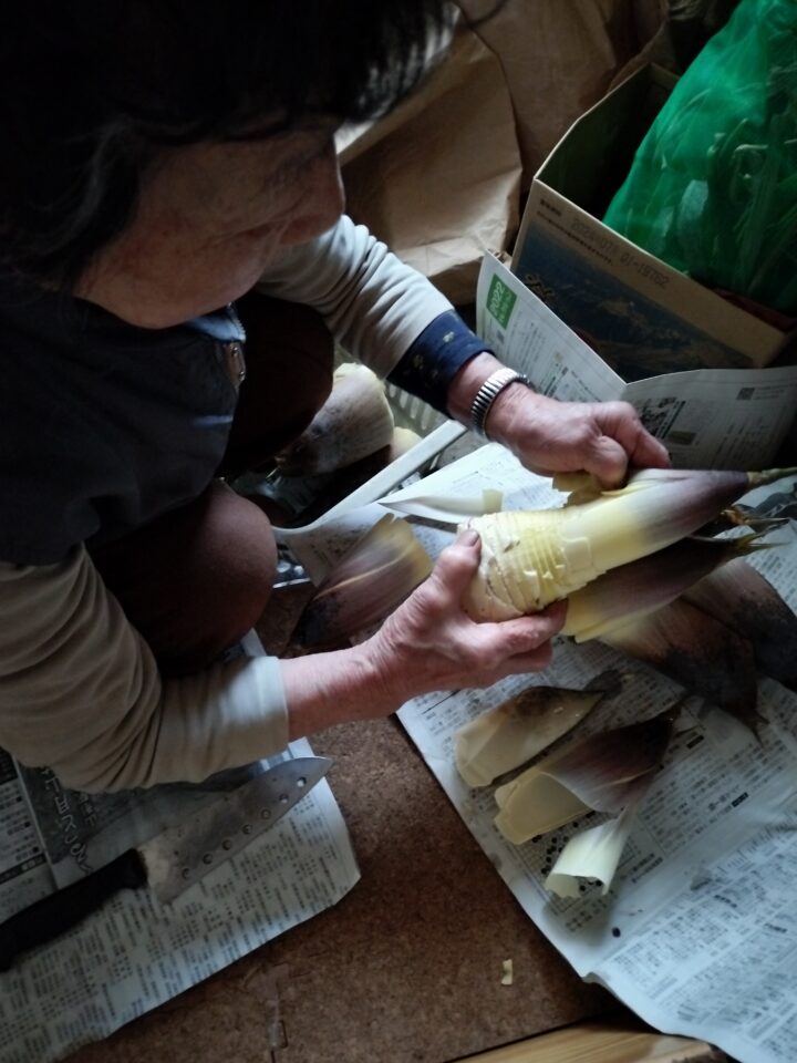 タケノコ皮むき