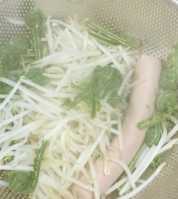 湯切りしたこごみ