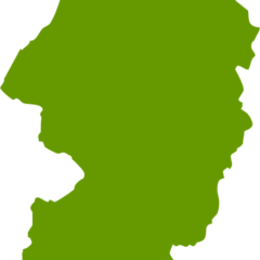 庄内柿の庄内って何？