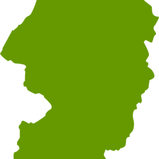 庄内柿の庄内って何？