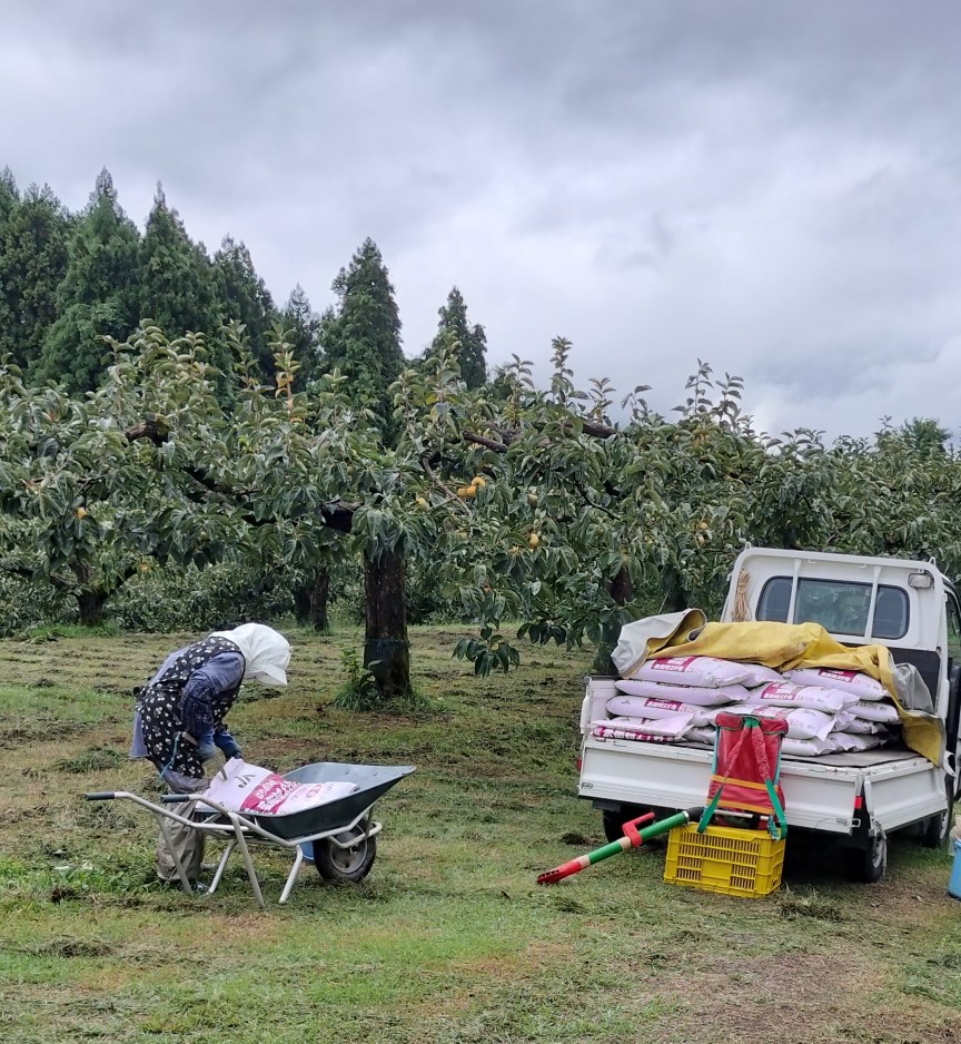 軽トラで堆肥をまく